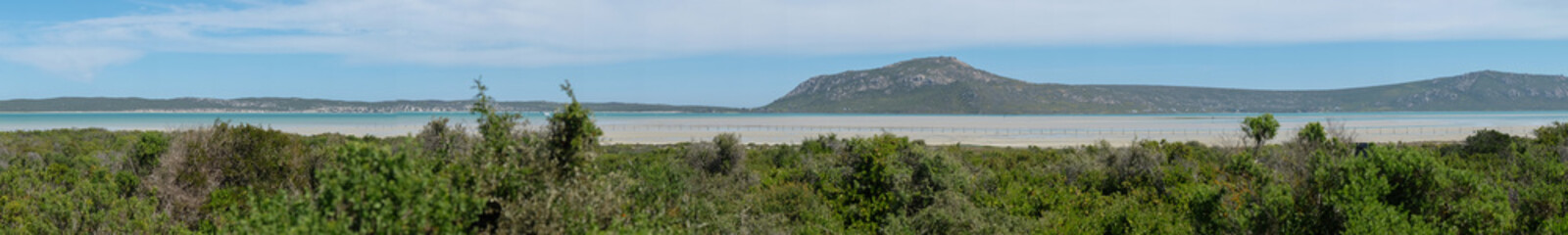 Fototapeta na wymiar Overlooking fynbos field with a lagoon in the background