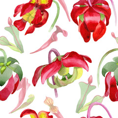 Wildflower Sarracenia flower pattern in a watercolor style. Full name of the plant: Sarracenia Aquarelle wild flower for background, texture, wrapper pattern, frame or border.