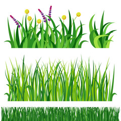 Green grass nature design elements vector illustration isolated grow agriculture nature background