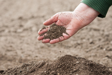 Soil in hand