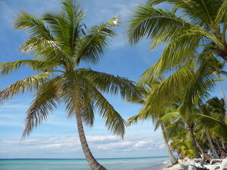 Fototapeta na wymiar république dominicaine dominican repubic island 