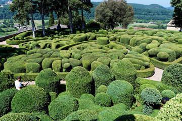 Jardin arbuste d&eacute;coratif