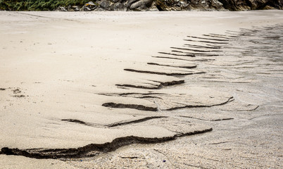 Inflow of fresh water into ocean on sandy beach.