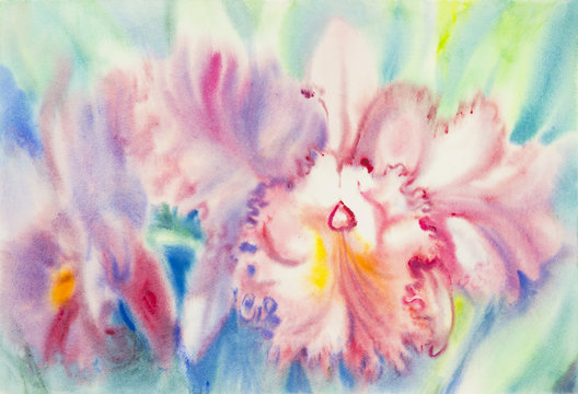  Painting pink color of orchid flower and green leaves