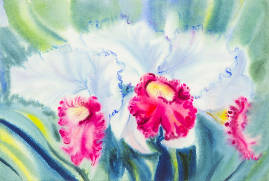 Abstract watercolor original painting white,pink color of orchid  flowers  and green leaves of blue color background.