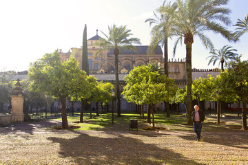 Obraz premium Outside the Mezquita of Cordoba from the Patio de los Naranjos