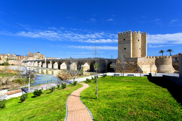 The Roman bridge and the Torre de Calahorra in Cordoba