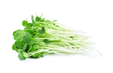 heap of alfalfa sprouts on white background