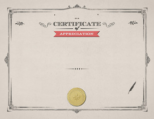 Blank Template Certificate of Appreciation, ready to be filled out with the names, plenty of copy space.