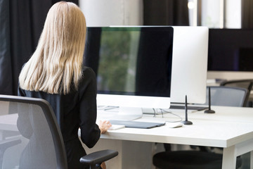 Back view portrait of a casual businesswoman working on computer