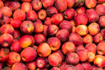 Red apples