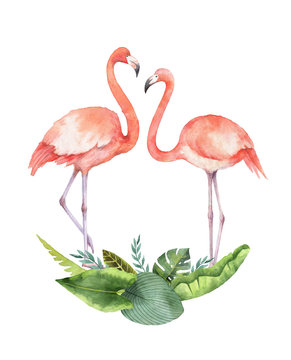 Watercolor card of tropical leaves and the pink Flamingo isolated on white background. © ElenaMedvedeva