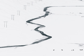 Icelandic winter minimalism: aerial view of a glacial wild river with some farm horses pasturing...