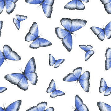 Watercolor seamless pattern with tropical blue butterfly isolated on white background.