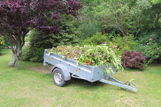 Remorque remplie de d&eacute;chets de jardin
