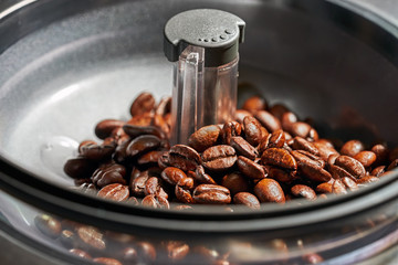 fresh coffee beans in coffee Machine grinders