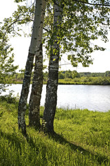 Landscape near Gagarin. Smolensk Oblast. Russia
