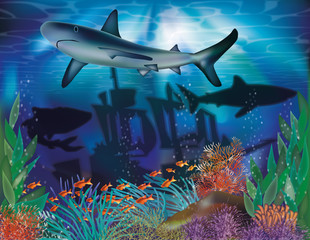 Fototapeta na wymiar Underwater tropical background with Shark, vector illustration