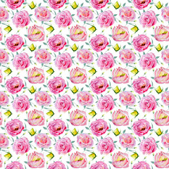 Wildflower rose pattern flower in a watercolor style isolated. Full name of the plant: rose. Aquarelle wild flower for background, texture, wrapper pattern, frame or border.