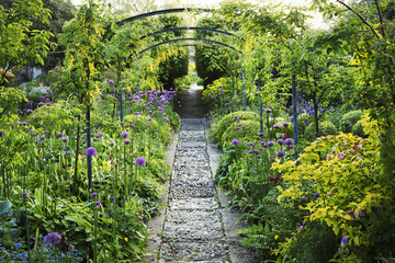 View along a garden path, flower beds with purple Allium and trees in the background.