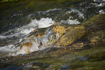 Water Stream in the Sunset