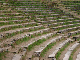 The steps of the ancient amphitheater, overgrown with grass.