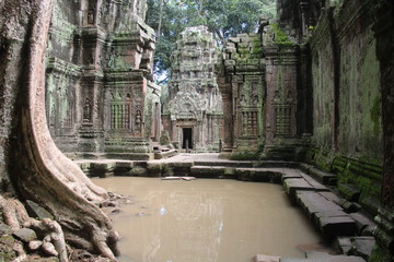 Cambodia. Ta Phrom Temple .  Siem Reap Provice.