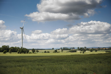 Renewable energy. Farm of wind turbines on the corn field.