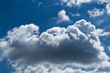 Naklejka na ściany i meble A large Cumulus cloud in the blue clear sky.
