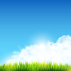 Fototapeta premium Shiny summer vector background with fresh green meadow grass and white transparent realistic fluffy cumulus clouds. Clear blue sky spring vector illustration with copyspace.