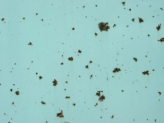 錆のあるグリーンの鋼板