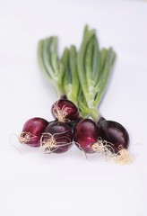 Fresh organic onions on white background