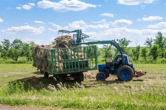 Front loader loads hay in the trailer / Photo taken in Russia, in the Orenburg region