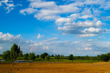 Obraz premium SONY DSC