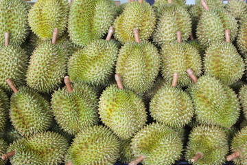 durian mon thong king of fruits