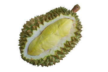 Obraz premium durian mon thong king of fruits in garden