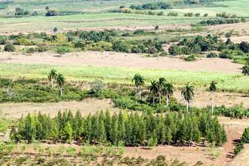 Fototapeta na wymiar Landscape of Valle de los Ingenios valley near Trinidad, Cuba