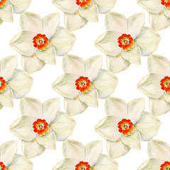 Seamless pattern with narcissus