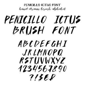 Hand drawn alphabet, written brush font imitating brush strokes: capital latin letters, numbers, some punctuation and signs of currency. Vector illustration
