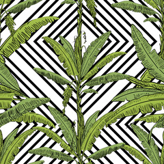 Vector drawn banana palm tree seamless pattern with leaves on white background in a sketch style. Exotic collection.