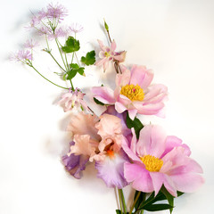 Fototapeta na wymiar Delicate background of tree-like peony, iris and wild flowers bouquet, top view.