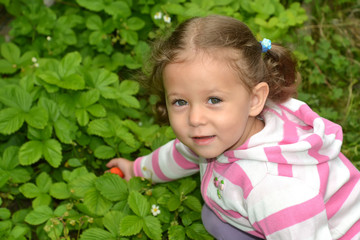 The little girl breaks strawberry berry from a bed