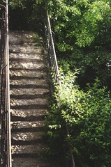 Fototapeta na wymiar stairs in park