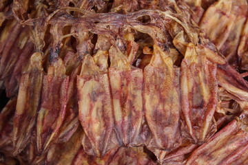 dried squid