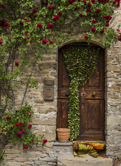 Fototapeta na wymiar Old Door with Roses in Montechiaro d'Acqui