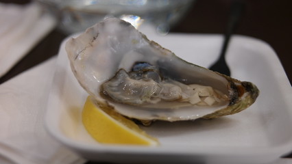 Oysters