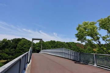初夏の散歩