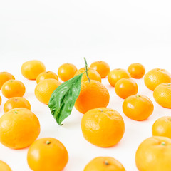 Mandarin on white background. Tasty fruits