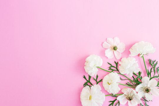 White Flowers On Pink Background. Floral Pattern. Flat Lay, Top View.