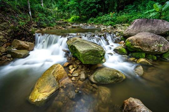 The little river in rainforest.It was took by long exposure.